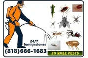 FUMIGACION TERMITA PLAGAS 24/7 en San Bernardino