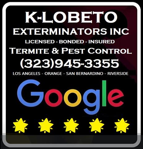 RODENTS PEST CONTROL SERVICES image 10