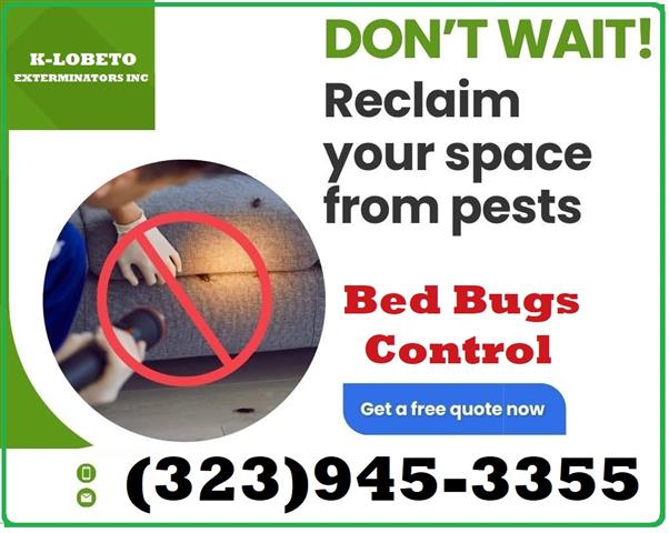 PEST CONTROL MAYWOOD - 24/7 image 9