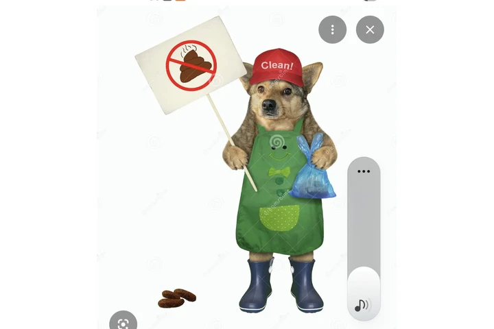 Limpieza dog 💩 poop limpieza image 1