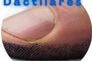 TOMA DE HUELLAS  FBI/RECORD en San Diego