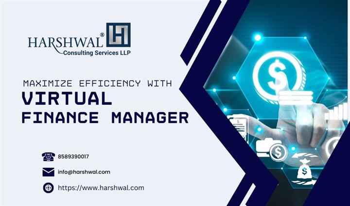 Best Virtual Finance Manager image 1