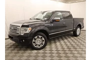 Ford F-150 2013 4x2 Platinum