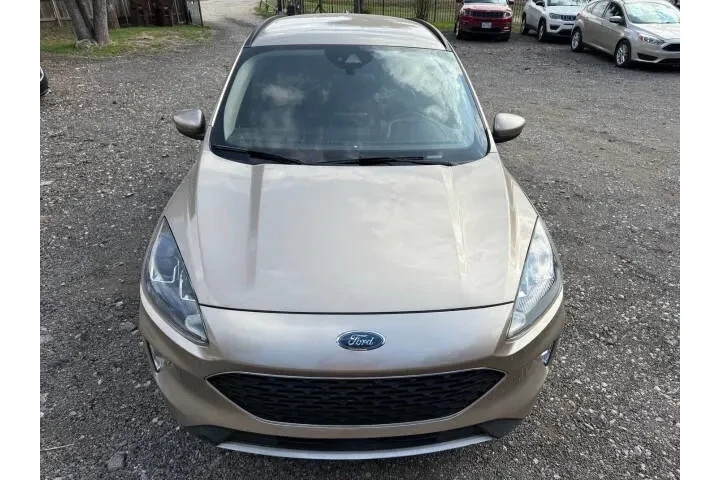 $9995 : 2020 Escape image 4