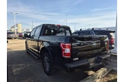 $23591 : Ford F-150 2019 4x2 XLT 4dr thumbnail
