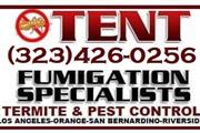 CONTROL TERMITAS (323)426-0256 thumbnail