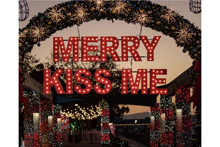 Holiday Lights at Dana Point image 1