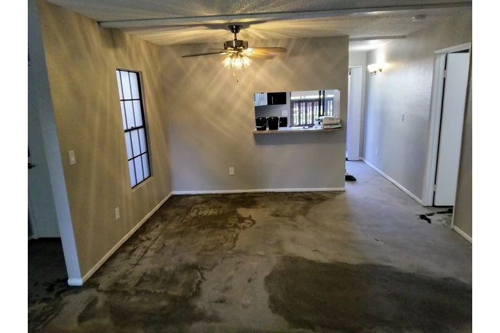 Pinto flooring image 6