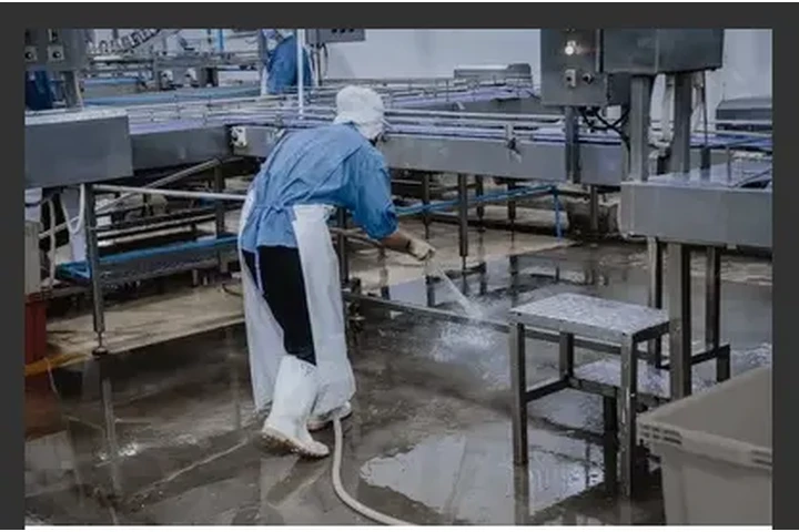 Saneamiento – Irwindale, CA image 3