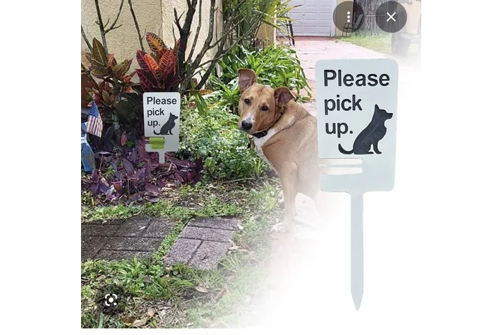 Limpieza dog 💩 poop limpieza image 3