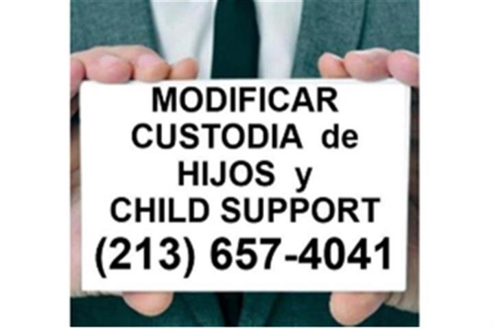 CUSTODIA LEGAL DE SUS HIJOS ? image 1