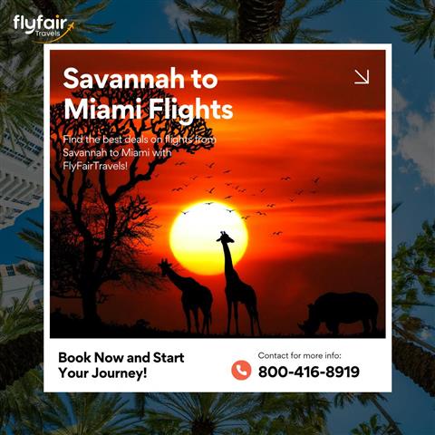 Savannah to Miami Flight Deals image 1