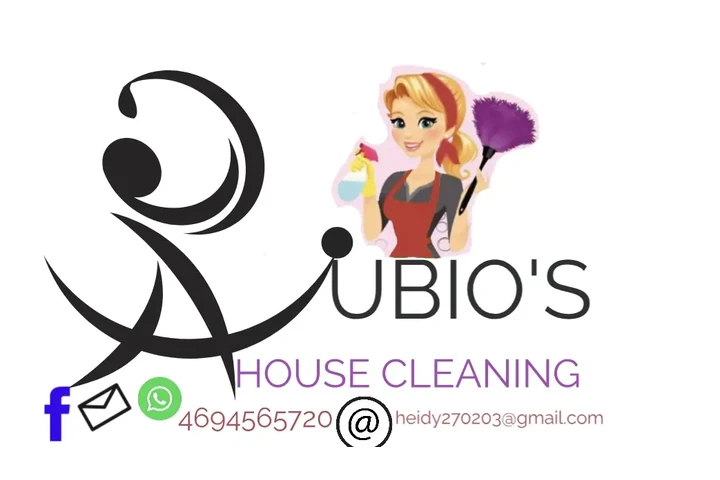House cleaning image 1