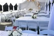 Carpas Drape backdrop