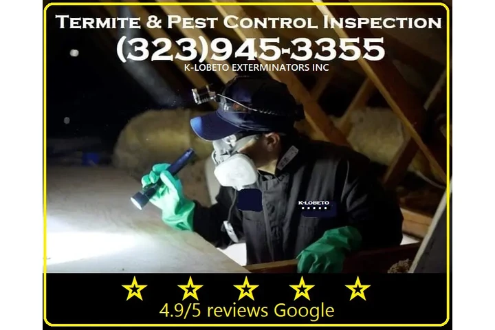 FUMIGATION LOS ANGELES--WINTER image 2