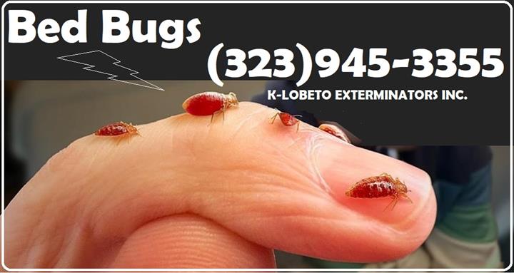 PEST CONTROL COMPANY-LICENSED image 10