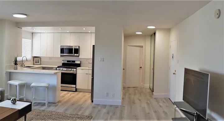 $1500 : Gorgeous 1 bed 1 Bath image 1