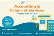 Accounting & financial service