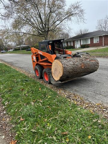 🌳Professional Tree Services🌳 image 3