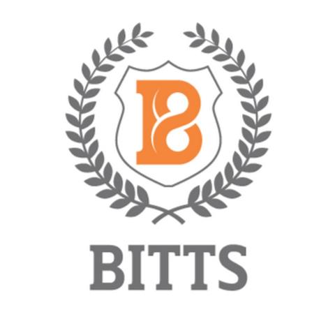Bitts International College image 1