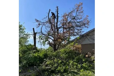 Landscaping Profesional en Oklahoma City