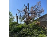 Landscaping Profesional en Oklahoma City