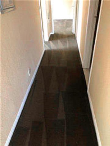 Micke's Carpet Cleaning image 3