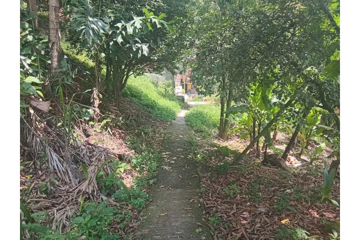 Venta de la Finca de tus Sueño image 3