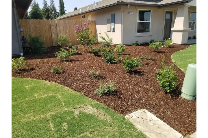 SERVICIOS DE JARDINERIA image 2