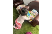 Cuidamos niños