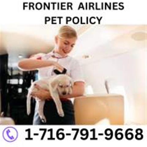 Frontier Airlines Pet Policy image 1