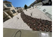 MartinTree ServicesLandscaping en Riverside