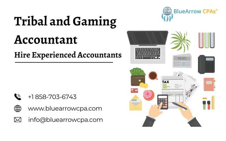 Tribal and Gaming Accountant image 1