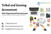 Tribal and Gaming Accountant