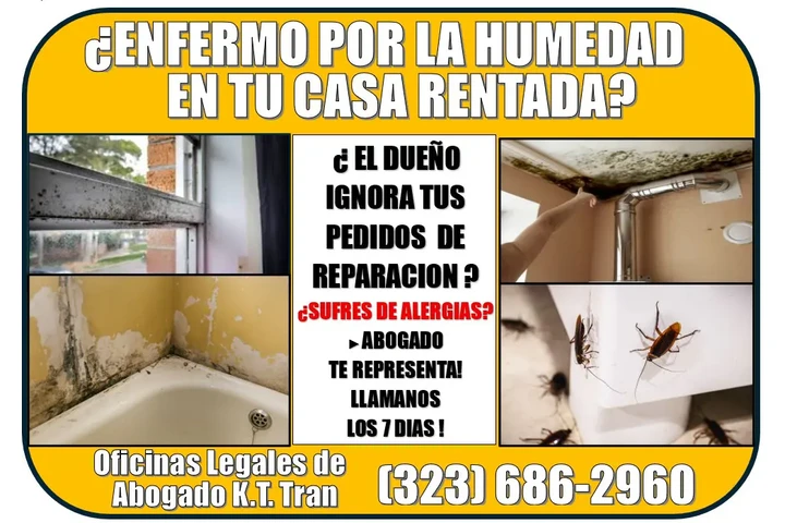 🔥ENFERMASTE? HUMEDAD EN CASA? image 3