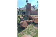 Memo's Tree Service thumbnail