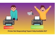 Printer Not Responding? Expert en New Orleans