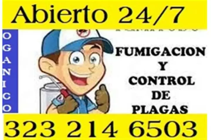 FUMIGACION 100% GARANTIZADO$49 image 6