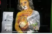 Modelos para Body Paint y Foto en Mexico DF
