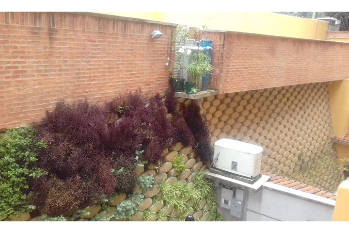 Muros Ecologicos en Caracas image 3