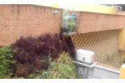 Muros Ecologicos en Caracas thumbnail