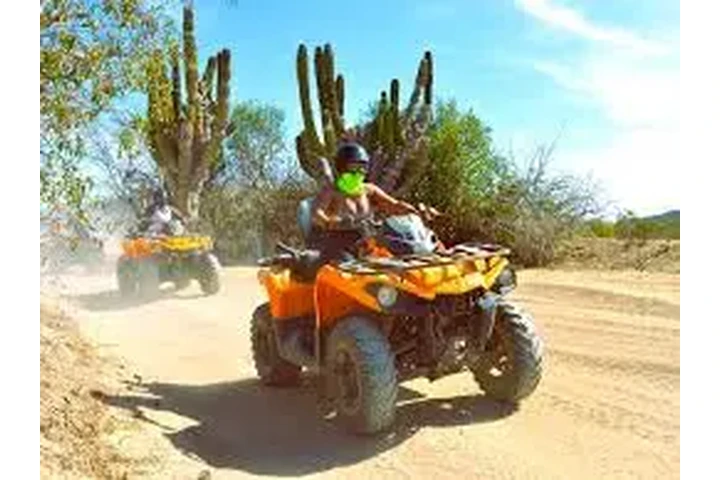 Tours en Mexico image 7