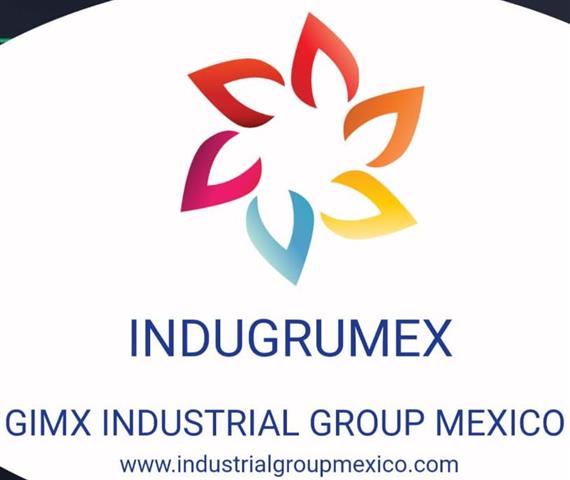 GIMX INDUSTRIAL GROUP MEXICO image 1