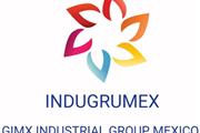 GIMX INDUSTRIAL GROUP MEXICO