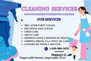 Cleaning services en Bronx