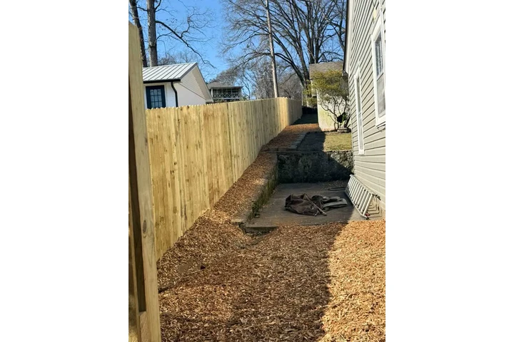 Professional Tree &Landscaping image 5