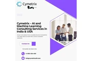 AI and Machine Consulting en San Francisco Bay Area