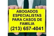 ASISTENCIA EN LEY DE FAMILIA en Los Angeles