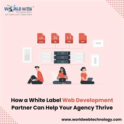 White Label Web Development image 1