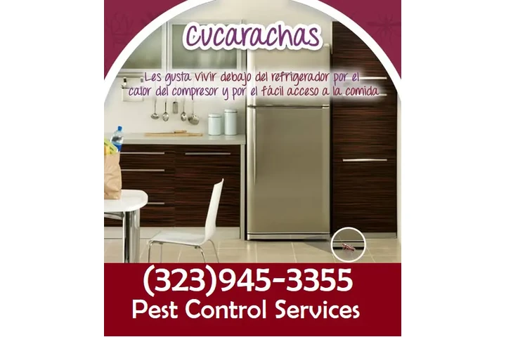 PEST CONTROL SERVICES image 10